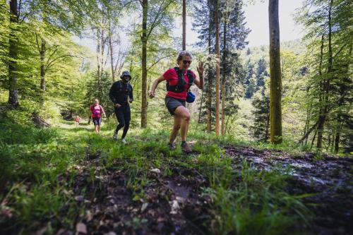 240509_DSC01768_trail-gnik.fr