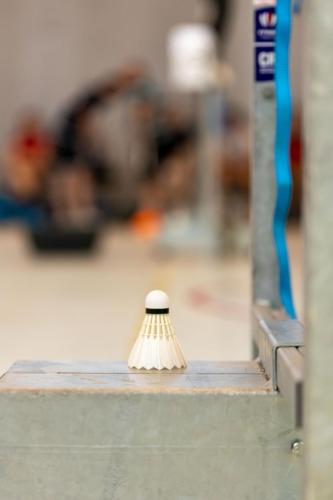 Vendredi_Badminton_Ced1