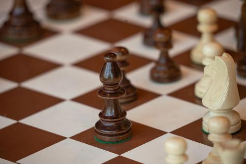 Playades2024 Vendredi Echec Magalie-Koessler-03108