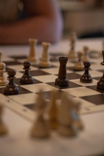 Playades2024 Vendredi Echec Magalie-Koessler-03178